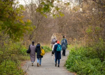 Büyükada Yürüyüş Rotaları: [2025] Seviyenize Göre En İyi 3 Rota (Haritalı)