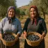 Gökçeada'nın Geçim Kaynakları: Turizm, Tarım ve Ada Ekonomisinin Geleceği